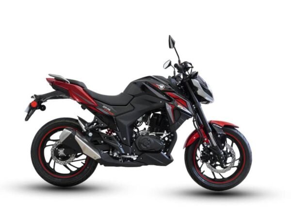 Moto DR 190s