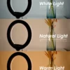 Trépied anneau LED selfie photo YouTube live